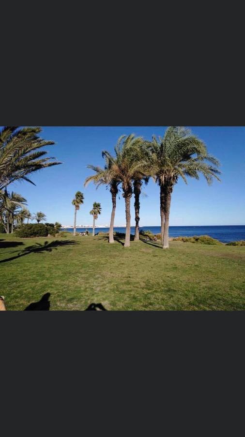 Apartament W Torrevieja, Mar Azul Exteriér fotografie